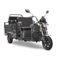 Грузовой электротрицикл Rutrike Вояж-П 1200 Трансформер 60V800W Темно-серый